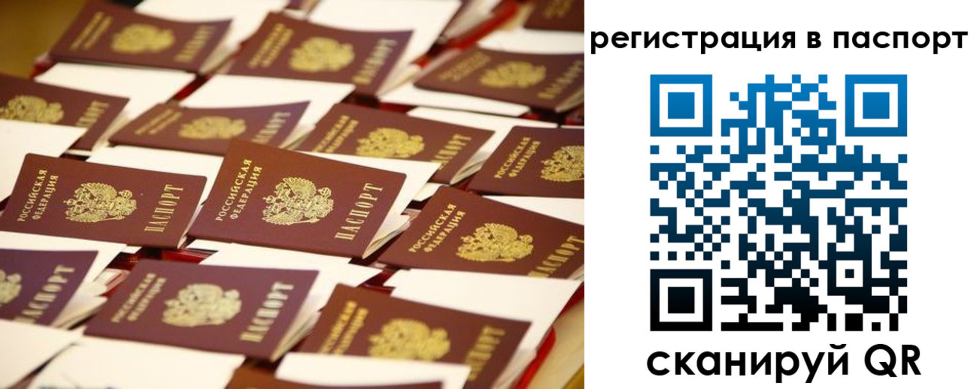 прописка гарантия в Голицыно